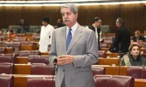 صدر کی منظوری کے بغیر آرڈیننس کا اجرا: پیپلز پارٹی کا قومی اسمبلی اجلاس میں شرکت نہ کرنے کا فیصلہ