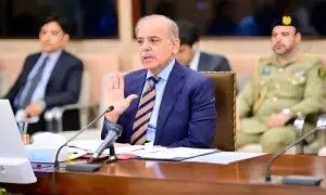 پیپلزپارٹی کا احتجاج: حکومت نے اسپیشل اکنامک زونز ترمیمی آرڈیننس واپس لے لیا