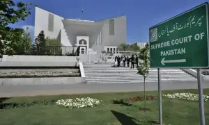 چار سالہ سوتیلے بچے کا قتل، ملزمہ کی ضمانت منظور