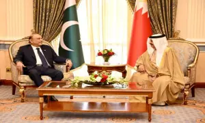 President Zardari meets King Hamad to discuss Pakistan-Bahrain ties
