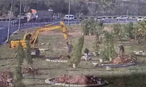 اسلام آباد میں ہزاروں درختوں کی کٹائی، معاملہ کیا ہے؟