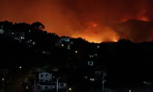 چلی: جنگل میں شدید آگ کے باعث ایمرجنسی نافذ، 20 ہزار افراد کی نقل مکانی