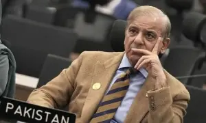 غزہ پیس بورڈ میں شمولیت کا فیصلہ فلسطین میں قیام امن اور تعمیر نو کے لیے کیا: وزیراعظم