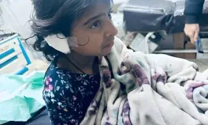 لاہورمیں پالتو شیرنی کا حملہ، 8 سالہ بچی زخمی لاہورمیں پالتو شیرنی کا حملہ، 8 سالہ بچی زخمی