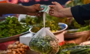 Inflation to stay within 5-6% in January as economic outlook improves