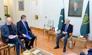 Pakistan committed to closer EU ties, trade expansion under GSP+: PM