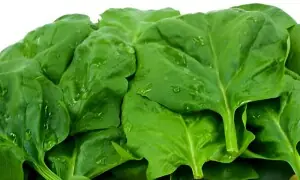 پالک استعمال کرنے کا بہترین طریقہ کیا ہے؟