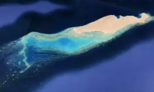 جزیرہ نُعمان: جہاں فطرت، سمندر اور تاریخ ایک ساتھ سانس لیتے ہیں جزیرہ نُعمان: جہاں فطرت، سمندر اور تاریخ ایک ساتھ سانس لیتے ہیں