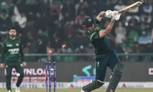 پاکستان نے آسٹریلیا کو 112 رنز سے ہرا کر ٹی 20 سیریز میں وائٹ واش کردیا