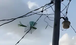 One dead, six injured in Lahore Basant accidents