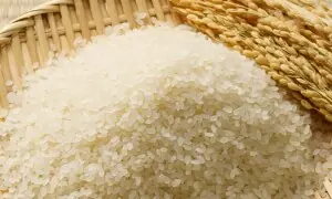 دنیا کا سب سے مہنگا چاول، ذائقہ کیسا ہے؟