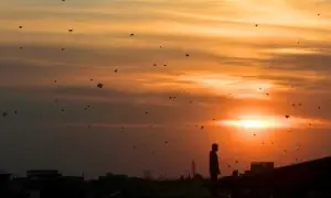 بسنت اختتام پذیر، اربوں روپے کا کاروبار، عمران خان نے بھانجے نے بھی پتنگیں اُڑائیں