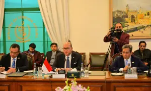 Ishaq Dar holds talks with Indonesian minister on trade, investment ties