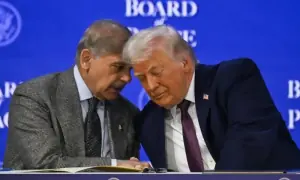 گیلپ سروے؛ 73 فیصد پاکستانی فوج کی غزہ میں تعیناتی کے حامی