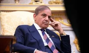 وزیراعظم نے نئی سولر ریگولیشنز کا نوٹس لے لیا، پاور ڈویژن کو اپیل دائر کرنے کی ہدایت
