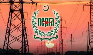 PM orders appeal against Nepra&rsquo;s prosumer regulations 2026