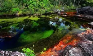 زمین پر بہتی جنت: وہ دریا جس میں ہر سال پانچ رنگ بہتے ہیں