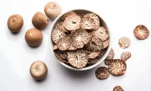 چھالیہ کی لت موت کو دعوت: دل کے ساتھ میٹابولزم بھی تباہ