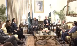 PM Shehbaz, President Zardari review political, economic, security situation