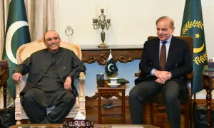 حکومت کا قانون سازی کے لیے پیپلزپارٹی کو اعتماد میں لینے کا فیصلہ