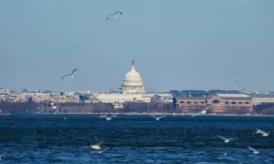 Trump says US government to step in to protect Potomac River after sewage leak