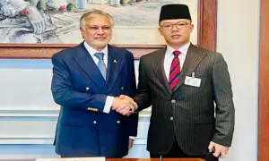 Ishaq Dar, Indonesian minister discuss Palestine, bilateral ties