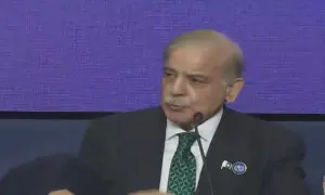 Shehbaz backs Gaza statehood at Trump-led peace forum