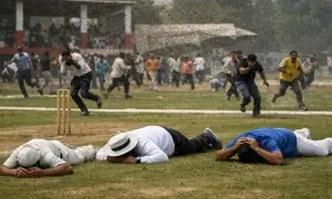 کرکٹ میچ کے دوران مکھیوں کا حملہ، امپائر ہلاک