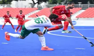 PHF forms key committees as national team management steps down