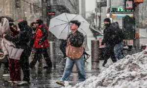 Powerful winter storm shuts schools, disrupts travel across US Northeast Powerful winter storm shuts schools, disrupts travel across US Northeast
