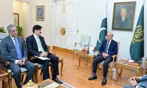 PM Shehbaz assures full support for Sindh projects