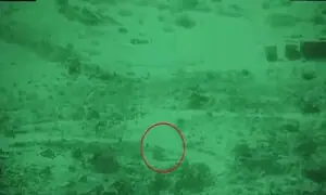 22 Afghan Taliban fighters killed in swift border response