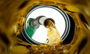 Government forms 18-member committee to monitor petroleum products