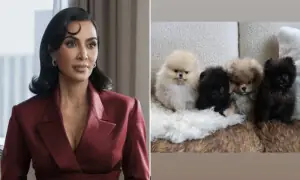 Kim Kardashian faces backlash again after introducing new puppies
