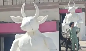 کراچی میں شیطان کے مجسمے کا معمہ حل، پولیس نے حقیقت بتا دی