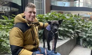 آسٹریلوی شہری نے ’چیٹ جی پی ٹی‘ کی مدد سے کتے کے لیے کینسر ویکسین تیار کرلی آسٹریلوی شہری نے ’چیٹ جی پی ٹی‘ کی مدد سے کتے کے لیے کینسر ویکسین تیار کرلی