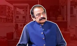 رانا ثنا اللہ کا قوم کو پیڑول اور گیس کا استعمال 50 فیصد کم کرنے کا مشورہ