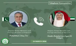 Dar, UAE foreign minister discuss evolving regional situation