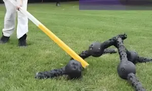 ٹیکنالوجی کی دنیا میں ایک نیا انقلاب: روبوٹس کا مرنے سے انکار