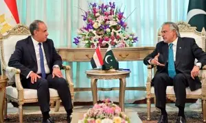Pakistan, Egypt pledge to deepen cooperation across key sectors