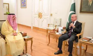 وزیراعظم شہباز شریف سے سعودی وزیر خارجہ کی ملاقات، اسلامی اتحاد کی ضرورت پر گفتگو