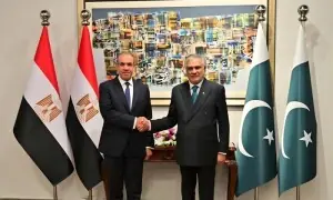 اسحاق ڈار غیر ملکی مہمان کے استقبال میں گر کر زخمی، کندھے میں فریکچر