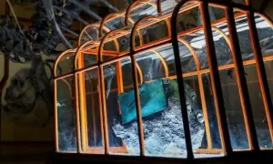 ڈائنوسار کے مادّے سے تیار کردہ ہینڈ بیگ نے دنیا کو چونکا دیا ڈائنوسار کے مادّے سے تیار کردہ ہینڈ بیگ نے دنیا کو چونکا دیا