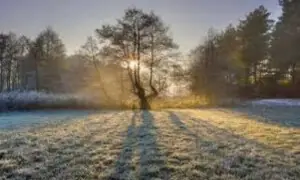 Balochistan sees dry weather after heavy rains, nine dead