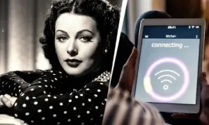 دیواروں کے پار وائی فائی کی پہنچ اور اس کے پیچھے چھپی ہالی ووڈ اداکارہ