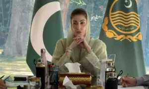 Punjab unveils Rs6bn relief for wheat farmers, sets procurement at Rs3,500/maund