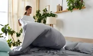 پسینے، تیل اور مردہ کھال سے بھرے اپنے پرانے گدے کو کیسے صاف کریں؟