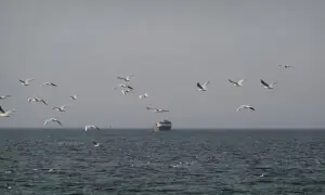 Iran military warns will block Red Sea if US naval blockade continues