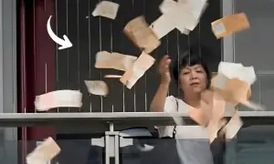 شوہر سے جھگڑے کے بعد بیوی نے کھڑکی سے رقم پھینک دی، ویڈیو وائرل