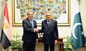 Dar holds talks with Egyptian FM over Middle East situation